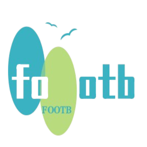 Football Encyclopedia Book